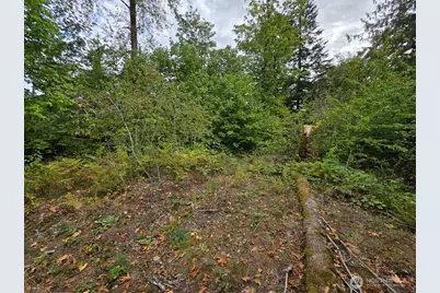 1206 Croft Avenue, Gold Bar, WA 98251 - Photo 6