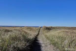 29906 H St, Ocean Park, WA 98640 - Photo 8