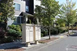 807 5th Pl NE, Issaquah, WA 98029 - Photo 36