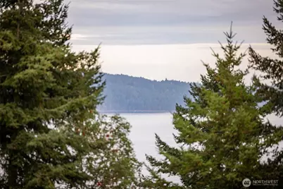 382 Discovery View Drive, Sequim, WA 98382 - Photo 2