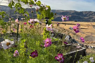 70 Hill Range Ln, Waterville, WA 98858 - Photo 36