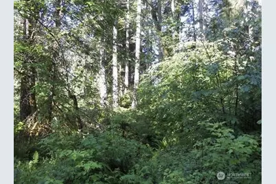10608 Edgewood Drive, Anderson Island, WA 98303 - Photo 1