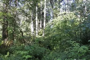 10608 Edgewood Dr, Anderson Island, WA 98303 - Photo 1