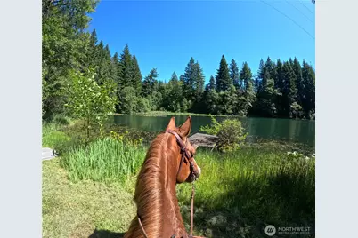 162 Bylin Road, Stevenson, WA 98648 - Photo 6