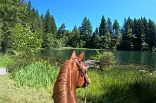 162 Bylin Rd, Stevenson, WA 98648 - Photo 6