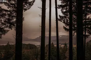 162 Bylin Rd, Stevenson, WA 98648 - Photo 32