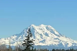 1546 Reservation Road SE, Olympia, WA 98513 - Photo 20