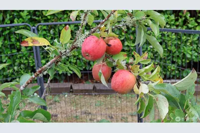 3140 E Washington, Port Orchard, WA 98366 - Photo 8