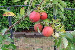 3140 E Washington, Port Orchard, WA 98366 - Photo 8