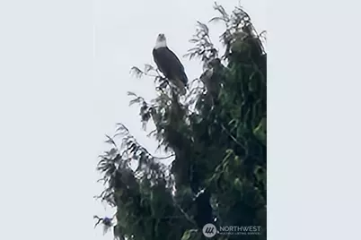 3140 E Washington, Port Orchard, WA 98366 - Photo 40