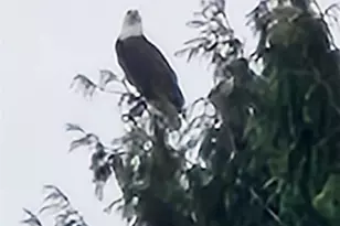 3140 E Washington, Port Orchard, WA 98366 - Photo 40