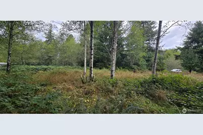 1351 Satsop Road W, Montesano, WA 98563 - Photo 1