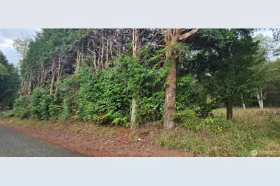 1351 Satsop Road W, Montesano, WA 98563 - Photo 4