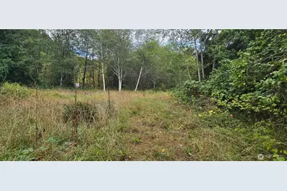 1351 Satsop Road W, Montesano, WA 98563 - Photo 6