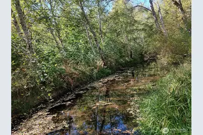 92 Cannavina Road, Carson, WA 98610 - Photo 10