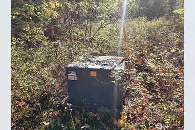 92 Cannavina Road, Carson, WA 98610 - Photo 8