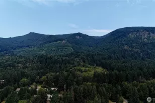 55509 310th Ave Ct E, Ashford, WA 98304 - Photo 40