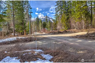 26 Mercer Road, Mazama, WA 98833 - Photo 28