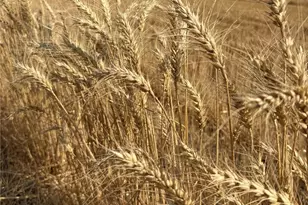 1225 N Marcellus Rd, Ritzville, WA 99169 - Photo 40