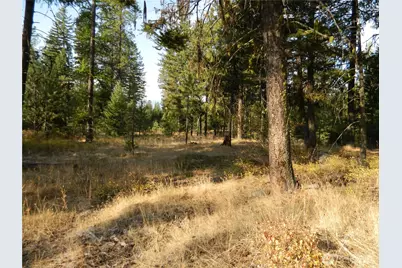 1111 Tbd Rone Road, Tonasket, WA 98855 - Photo 10