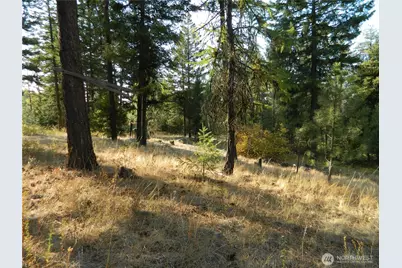 1111 Tbd Rone Road, Tonasket, WA 98855 - Photo 8