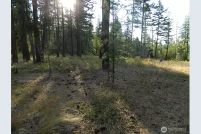 1111 Tbd Rone Road, Tonasket, WA 98855 - Photo 4