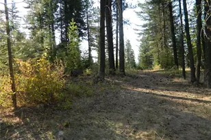 1111 Tbd Rone Rd, Tonasket, WA 98855 - Photo 1