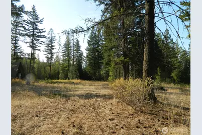 1111 Tbd Rone Road, Tonasket, WA 98855 - Photo 6