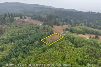 307 Greenwood Road, Cathlamet, WA 98612 - Photo 12