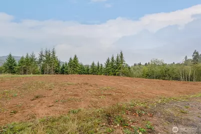 307 Greenwood Road, Cathlamet, WA 98612 - Photo 2