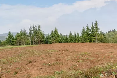 307 Greenwood Road, Cathlamet, WA 98612 - Photo 1