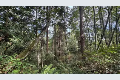 0 Heggeness Road, Clinton, WA 98236 - Photo 8