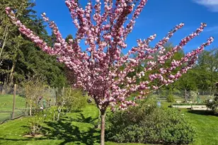 898 E Meadowood Ln, Freeland, WA 98249 - Photo 36