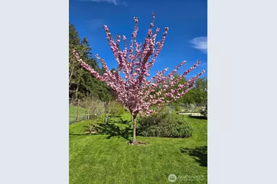 898 E Meadowood Lane, Freeland, WA 98249 - Photo 36