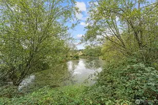 182-51 Burchett Rd, Onalaska, WA 98570 - Photo 4