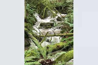 25115 SE 133rd Way, Issaquah, WA 98027 - Photo 32