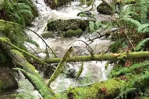 25115 SE 133rd Way, Issaquah, WA 98027 - Photo 32