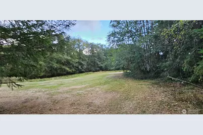 10115 Edgewood Drive, Anderson Island, WA 98303 - Photo 4