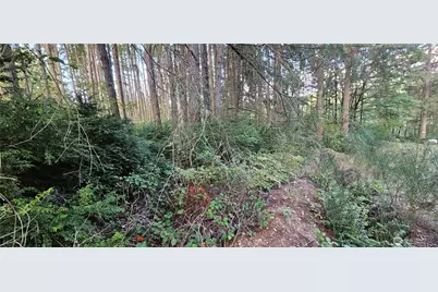 10115 Edgewood Drive, Anderson Island, WA 98303 - Photo 6