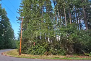 10115 Edgewood Dr, Anderson Island, WA 98303 - Photo 1