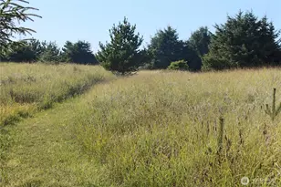 11303 Pacific Way, Long Beach, WA 98631 - Photo 32