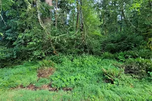 12726 96th St Ct, Anderson Island, WA 98303 - Photo 1