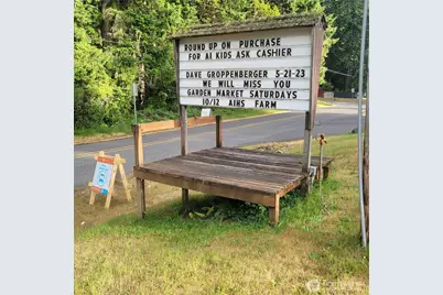 12726 96th Street Ct, Anderson Island, WA 98303 - Photo 28