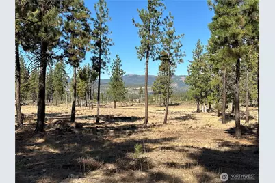 0 Lee Road, Goldendale, WA 98620 - Photo 8