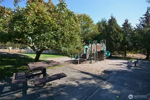 15739 Yelm Terra Way SE, Yelm, WA 98597 - Photo 40