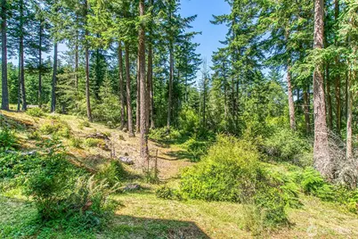 87 Levon Lane, Orcas Island, WA 98243 - Photo 28
