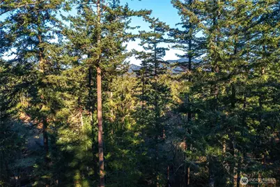 87 Levon Lane, Orcas Island, WA 98243 - Photo 36