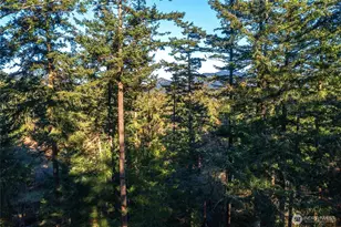 87 Levon Ln, Orcas Island, WA 98243 - Photo 36