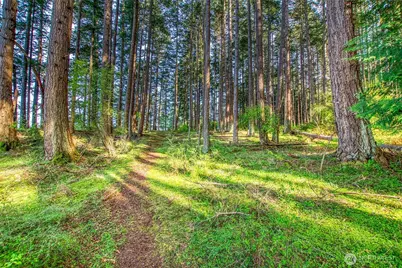 64 Barn Owl Trail, Orcas Island, WA 98245 - Photo 26