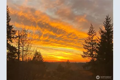 12509 206th Place SE, Issaquah, WA 98027 - Photo 36